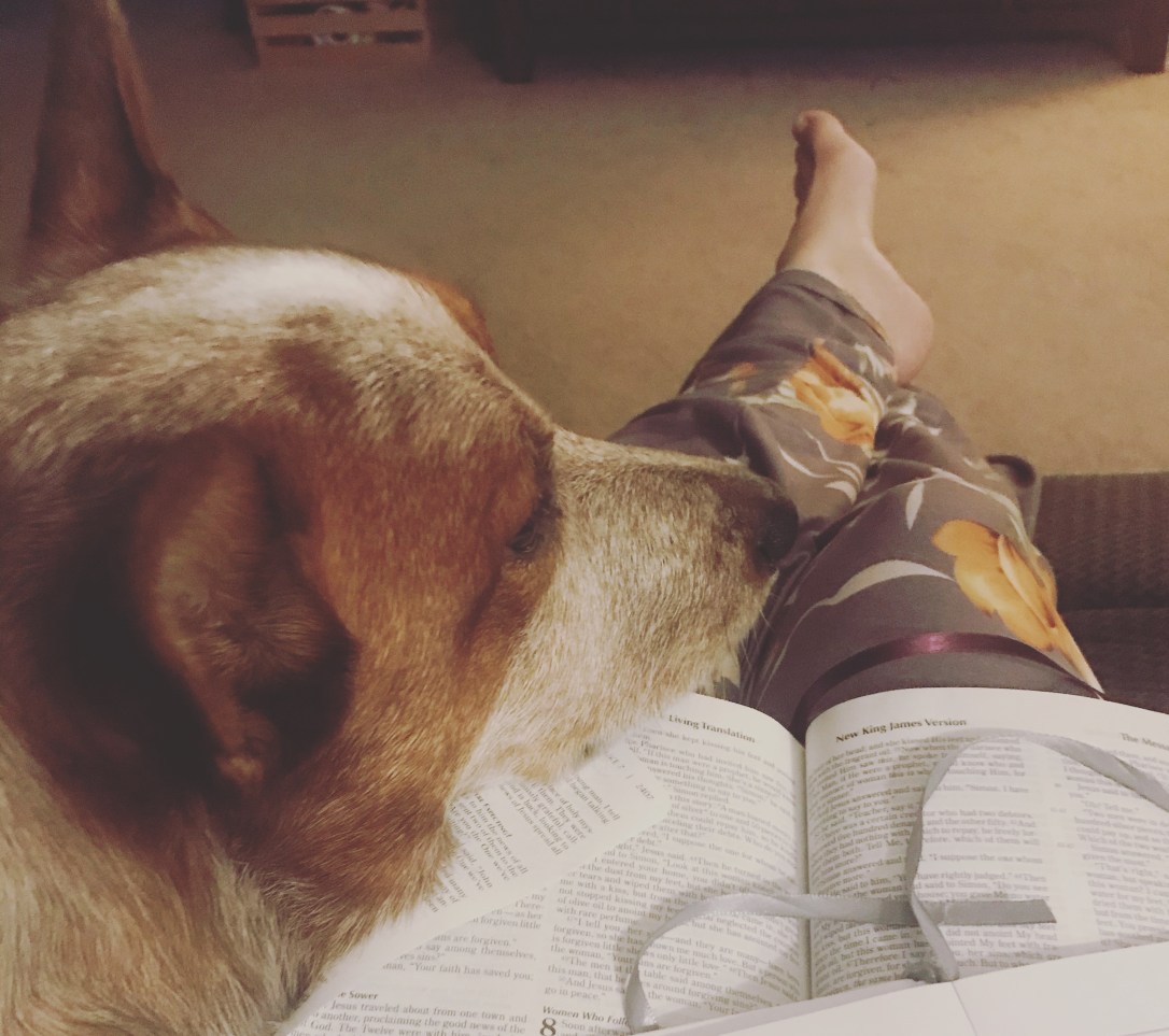 6D6E40E9-2499-40F1-8F06-A43A198ACE28